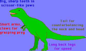 basic theropod