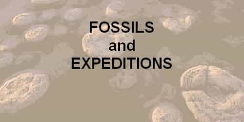 Fossils / Time and Space Science