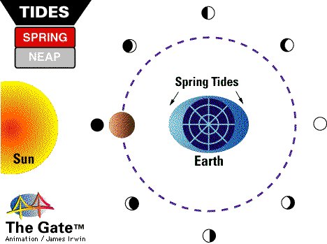 Cause of Tides