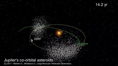 Jupiter's asteroids
